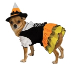 candy-corn-witch-dog-halloween-costume-1